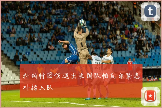 科纳特因伤退出法国队帕瓦尔紧急补招入队